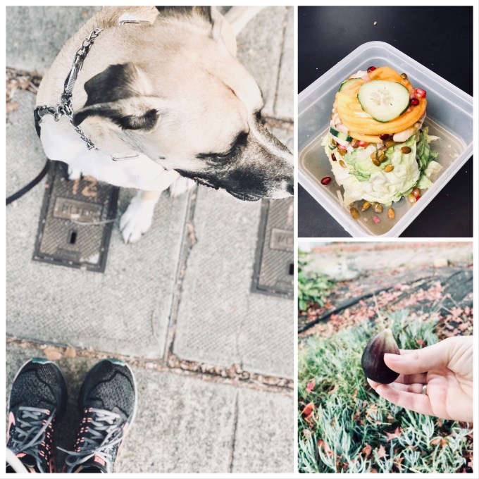 ECEBDF62-3877-454E-802C-FD3E5A27880B